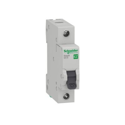 Termica 1X06A C 4.5kA E9 Schneider(12)/TSCHE9106