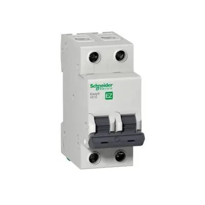 Termica 2X16A C 4.5kA E9 Schneider(6)/TSCHE9216