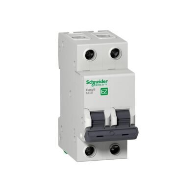 Termica 2X50A C 4.5kA E9 Schneider(6)/TSCHE9250